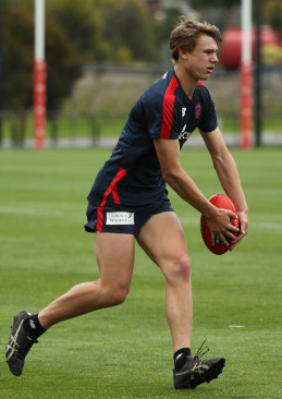 Screenshot_2018-11-30 Melbourne Demons Pictures and Photos Getty Images(5).png