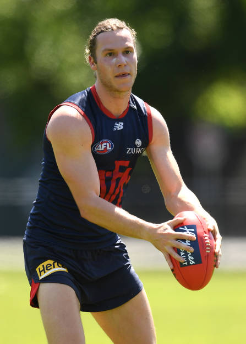 Screenshot_2019-11-18 Melbourne Demons Pictures and Photos - Getty Images(5).png