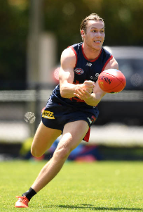 Screenshot_2019-11-18 Melbourne Demons Pictures and Photos - Getty Images(7).png