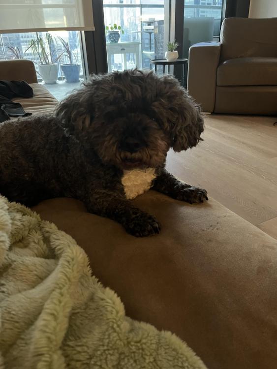 image1.jpeg