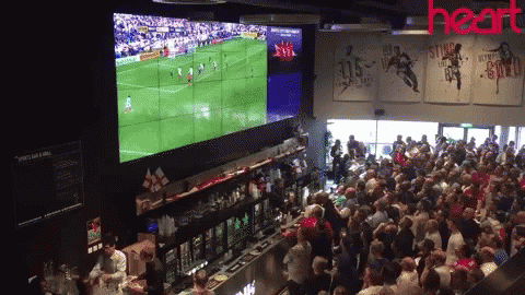 fans-celebrate.gif