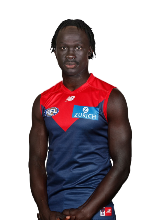 LeekAleer.png