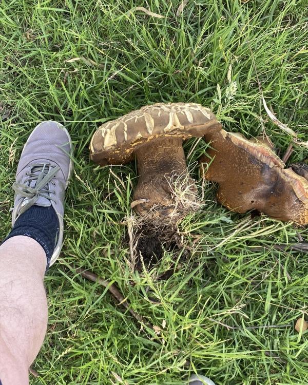 C70B739D-9124-4829-B917-456C87044BB6 2.JPG