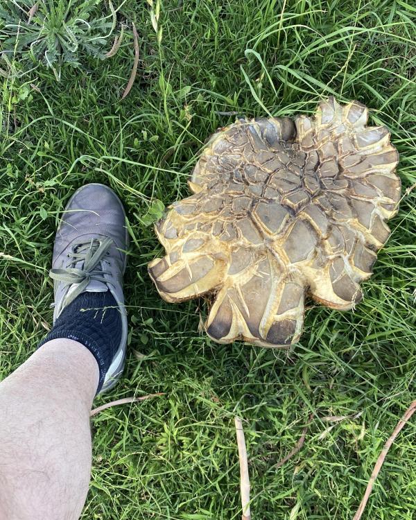 D519C131-DF92-4D26-8246-71FCB7556CD1 2.JPG