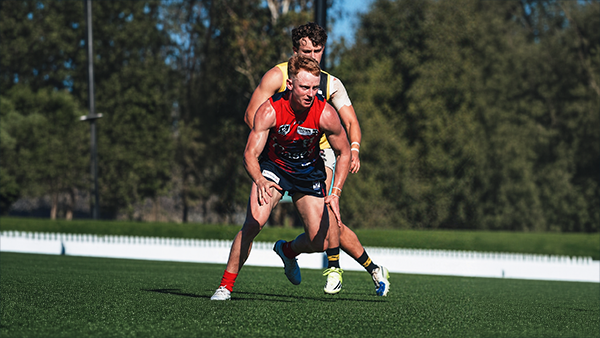 AUTUMN WINDS by KC from Casey