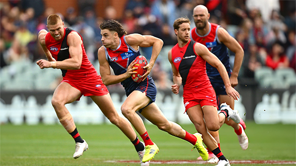 HOODOO GURUS by Whispering Jack