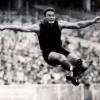 Ron Barassi